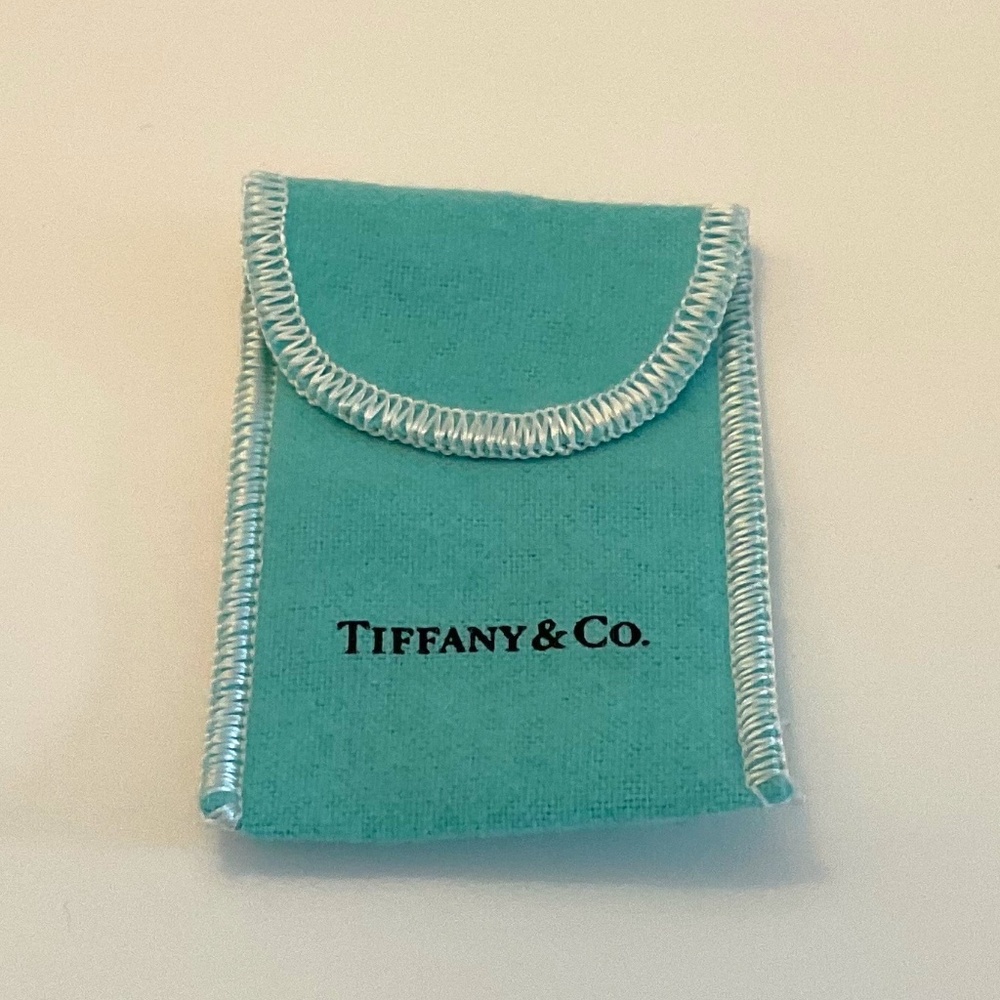 Empty Tiffany Blue Pouch